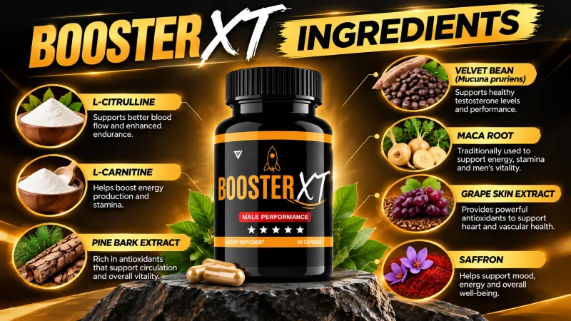 Booster XT Review 2026: Men’s Vitality, Performance & Results 13 Booster XT Ingredient