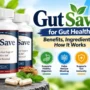 Gut Health Review